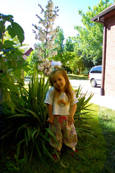 What A Tall Flower